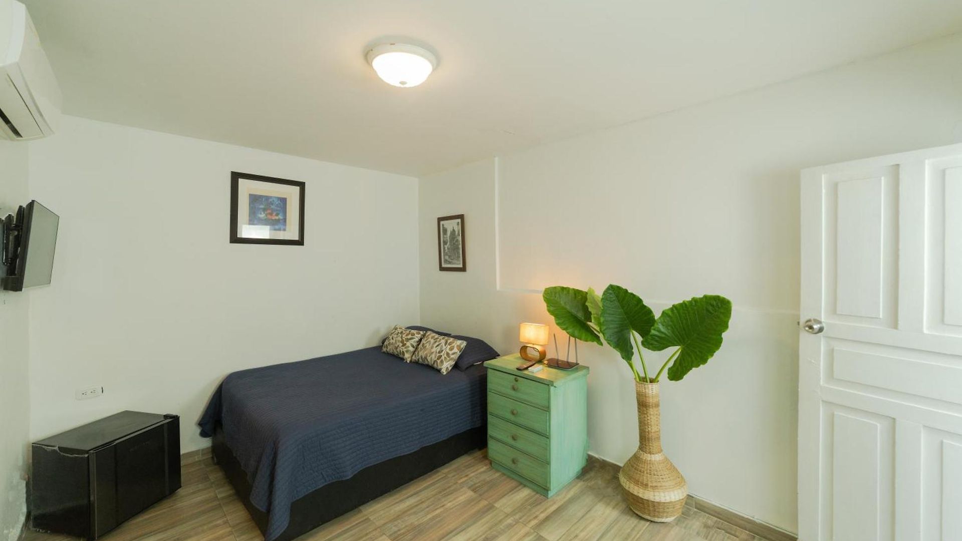 Oasis Colonial *
