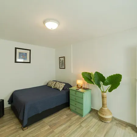 Oasis Colonial *