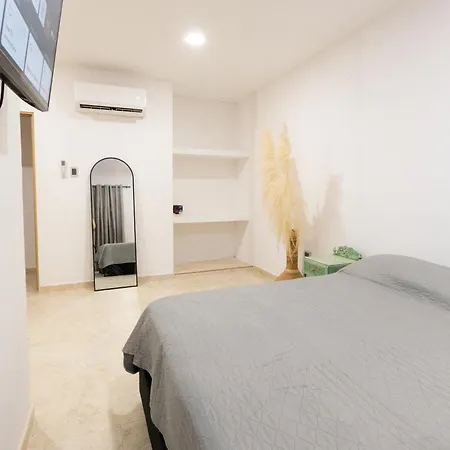 Apartment Oasis Colonial