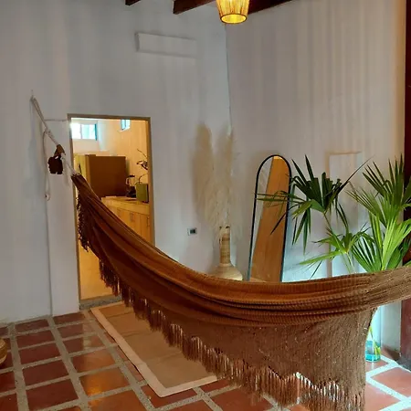 Apartment Oasis Colonial