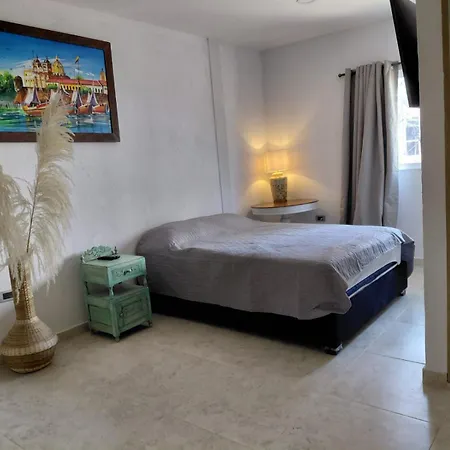 Oasis Colonial *