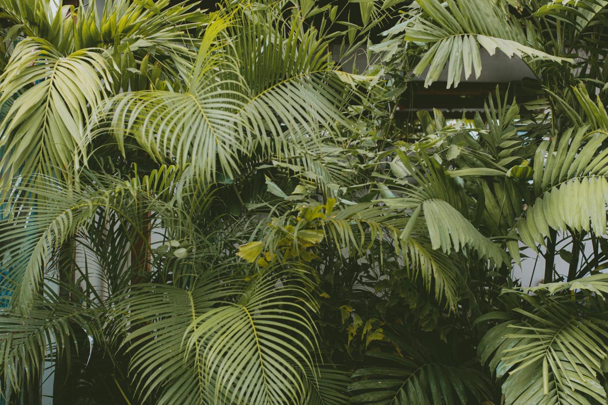 Oasis Colonial Cartagena